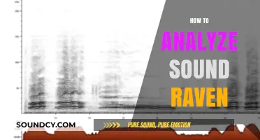 Mastering Sound Analysis: A Comprehensive Guide to Using Raven Software