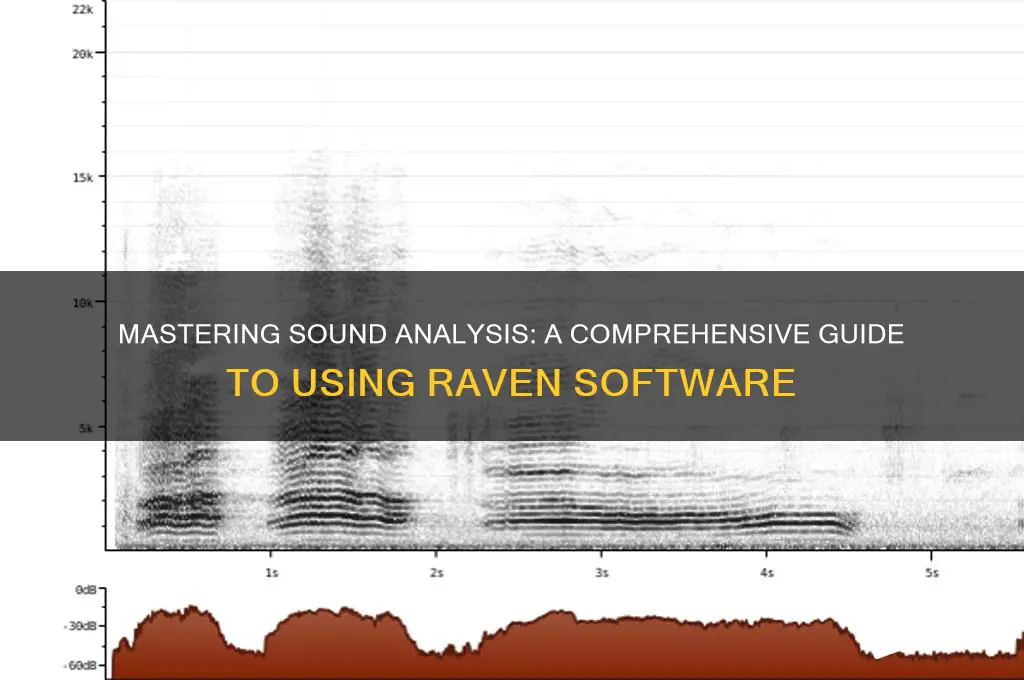 how to analyze sound raven