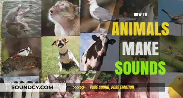Unveiling the Fascinating Ways Animals Create Their Unique Sounds