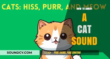 Mastering the Art of Irritating Cats: A Guide to Annoying Meows