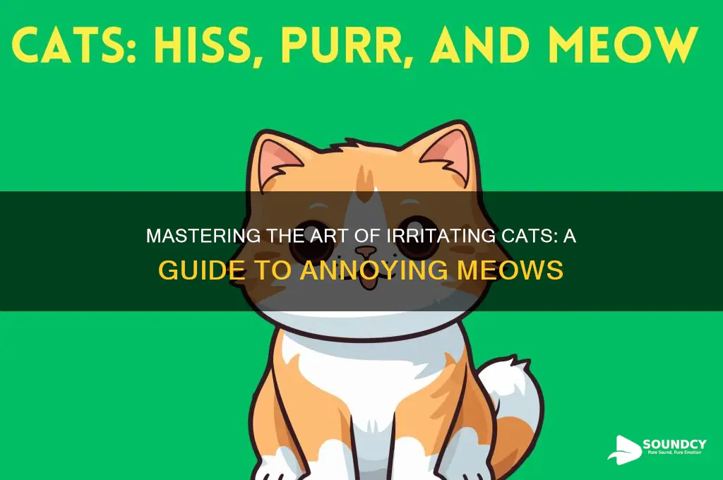 how to annoy a cat sound