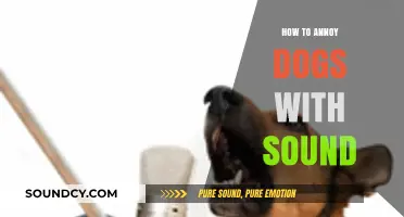 Mastering Irritating Noises: A Guide to Annoying Dogs with Sound