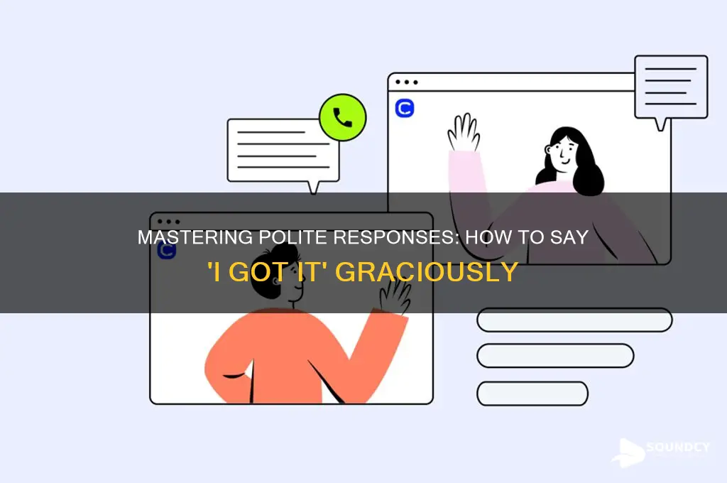 how to answer i got it without sounding rude