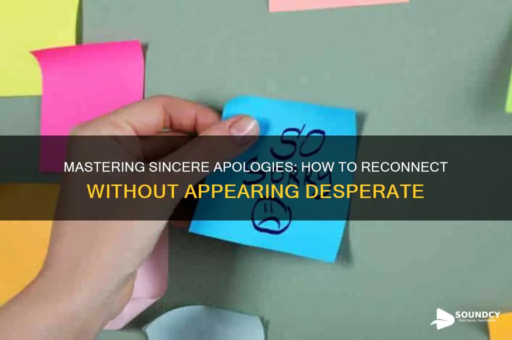 how to apologize to a guy without sounding desperate