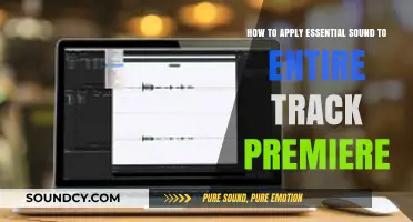 Mastering Premiere Pro: Applying Essential Sound to Your Entire Track