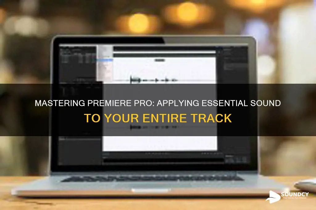 how to apply essential sound to entire track premiere