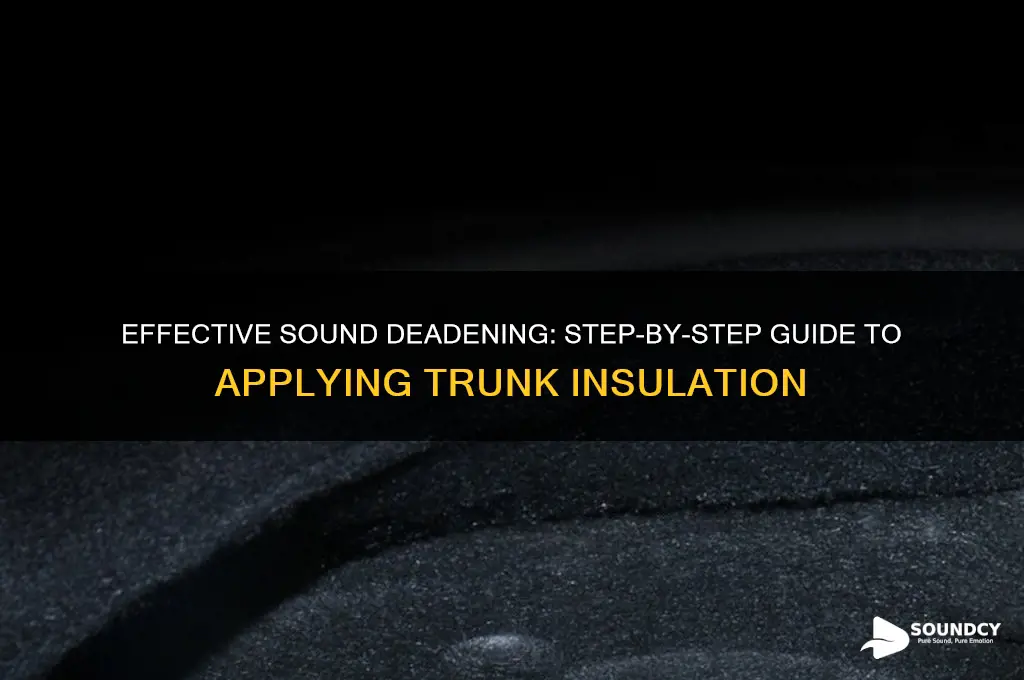 how to apply sound deadening trunk