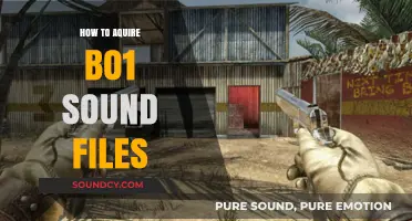 Extracting Call of Duty: Black Ops (BO1) Sound Files: A Comprehensive Guide