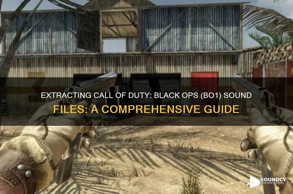 how to aquire bo1 sound files