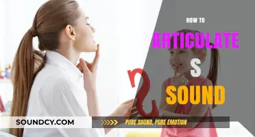 Mastering the 'S' Sound: Tips for Clear and Confident Articulation