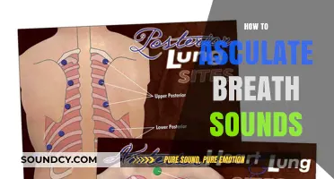 Mastering Auscultation: A Step-by-Step Guide to Listening to Breath Sounds