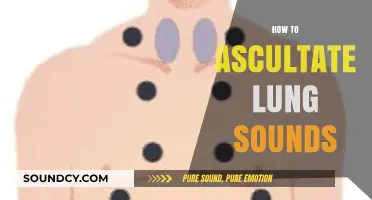 Mastering Lung Auscultation: A Step-by-Step Guide to Accurate Assessment