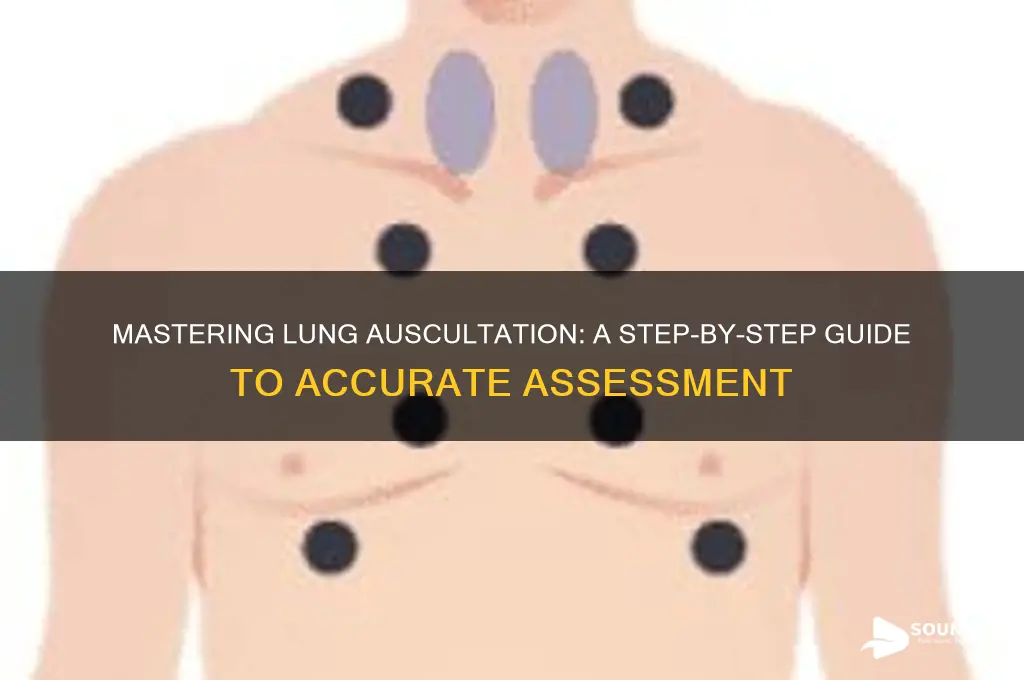 how to ascultate lung sounds