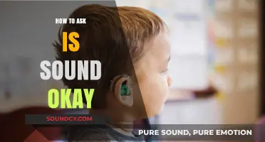 Mastering the Art of Asking: Is the Sound Okay?