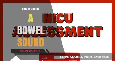 Mastering Bowel Sound Assessment: Essential Techniques for Accurate Evaluation