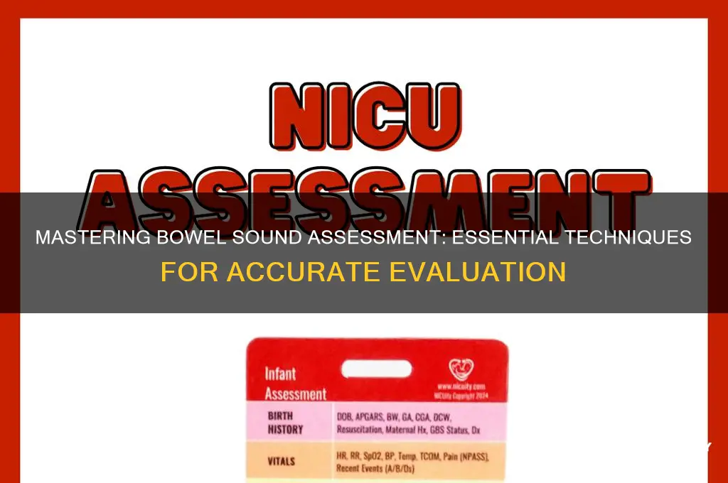 how to assess a bowel sound