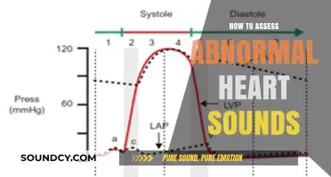 Identifying Abnormal Heart Sounds: A Comprehensive Assessment Guide for Clinicians