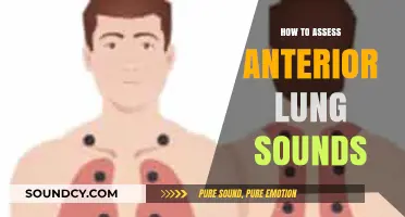 Mastering Anterior Lung Sound Assessment: Essential Techniques for Accurate Auscultation