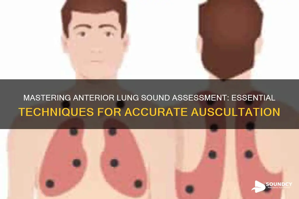 how to assess anterior lung sounds