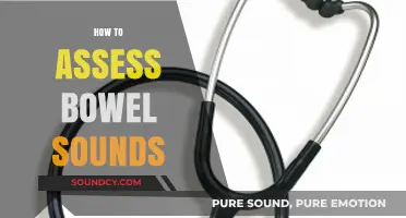 Mastering Bowel Sound Assessment: Essential Techniques for Accurate Auscultation