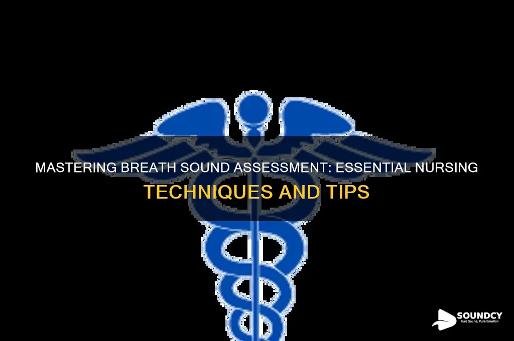 how to assess breath sounds nursing