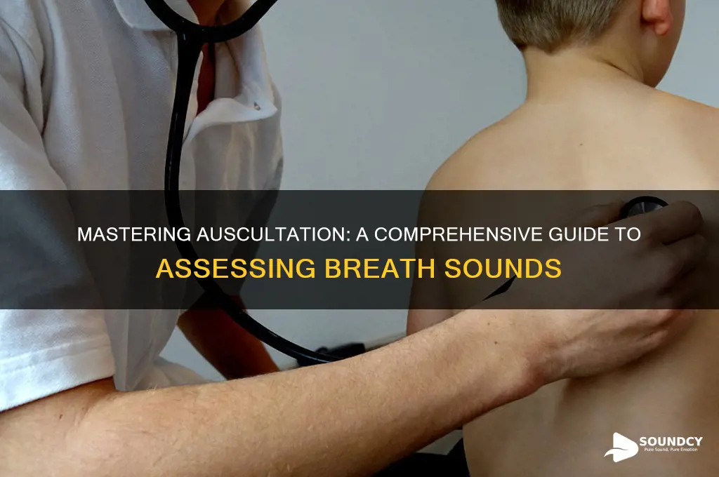 how to assess breath sounds