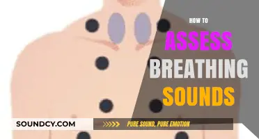 Mastering Auscultation: A Comprehensive Guide to Assessing Breathing Sounds