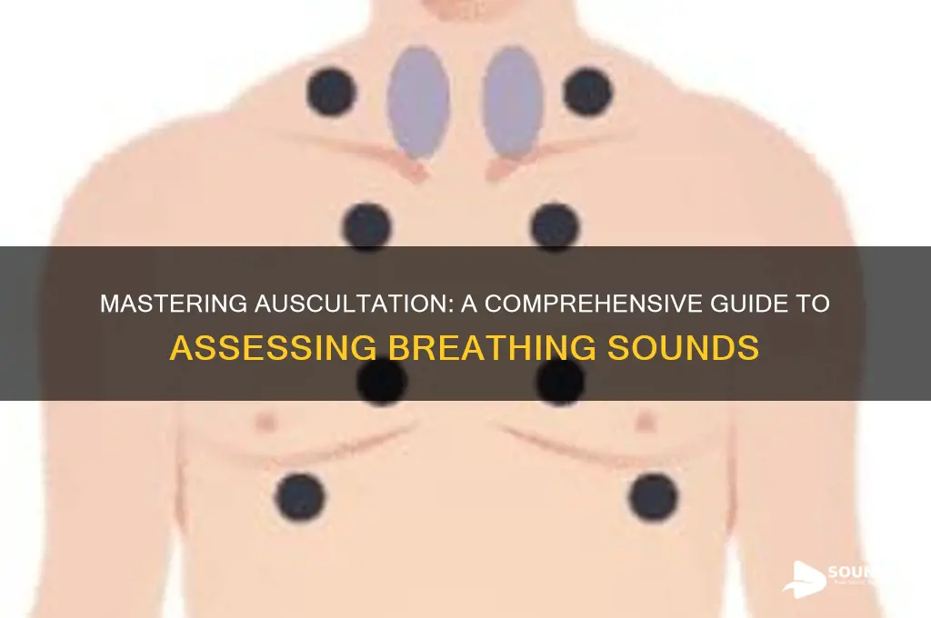 how to assess breathing sounds