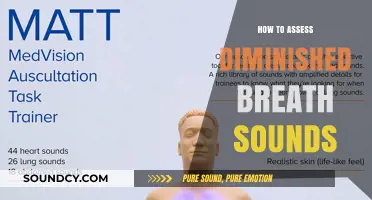 Mastering Auscultation: Techniques to Assess Diminished Breath Sounds Effectively