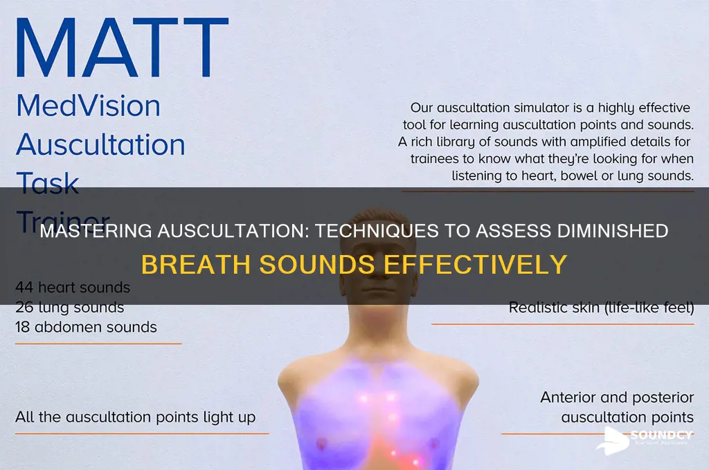 how to assess diminished breath sounds
