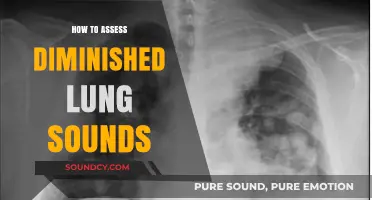 Mastering Lung Sound Assessment: Techniques to Identify Diminished Breath Sounds