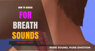 Mastering Auscultation: A Comprehensive Guide to Assessing Breath Sounds