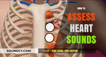 Mastering Heart Sound Assessment: Essential Techniques for Accurate Auscultation
