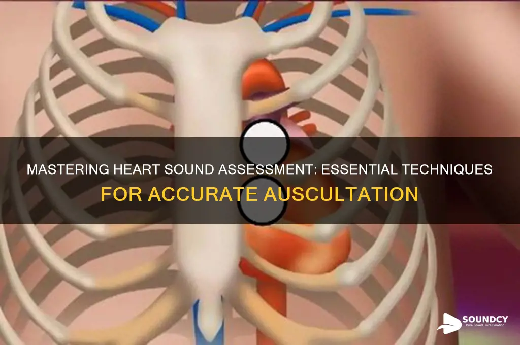 how to assess heart sounds