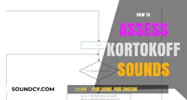 Mastering Blood Pressure Measurement: A Guide to Assessing Korotkoff Sounds
