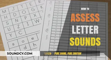 Mastering Phonics: Effective Strategies to Assess Letter Sounds Accurately