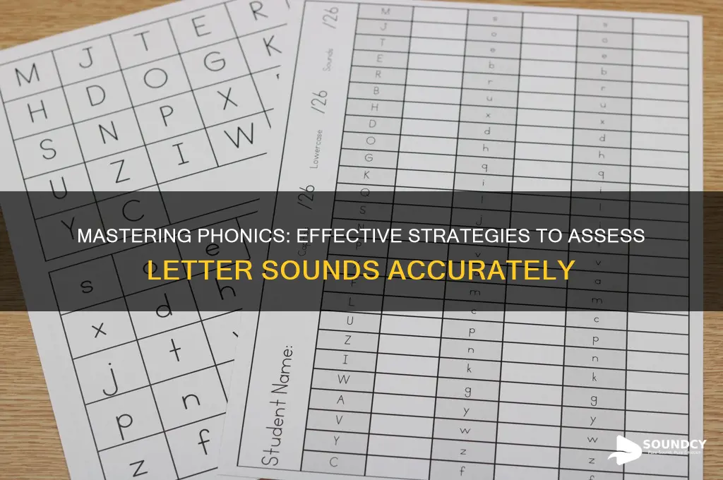how to assess letter sounds