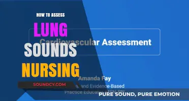 Mastering Lung Sound Assessment: Essential Nursing Techniques and Tips
