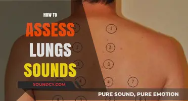 Mastering Lung Auscultation: A Comprehensive Guide to Assessing Lung Sounds
