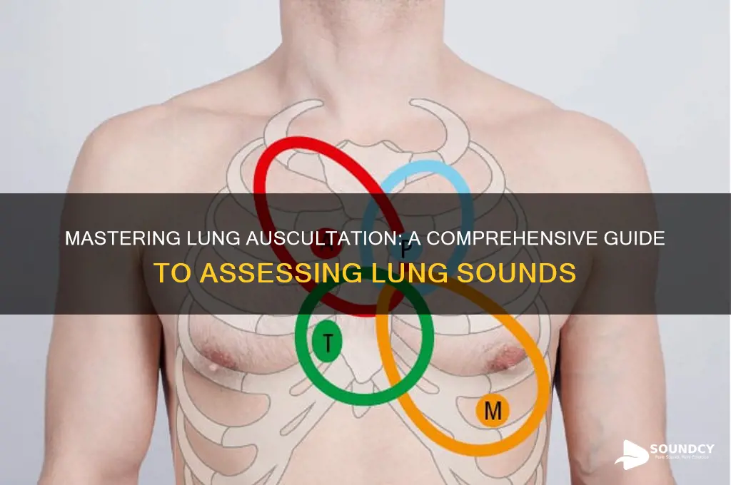 how to assess lungs sounds