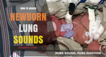 Mastering Newborn Lung Sound Assessment: Essential Techniques for Healthcare Professionals
