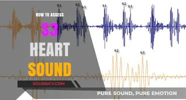 Mastering S3 Heart Sound Assessment: A Comprehensive Step-by-Step Guide