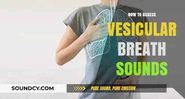 Mastering Vesicular Breath Sound Assessment: A Comprehensive Step-by-Step Guide