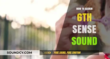 Mastering the Art of Assigning 6th Sense Sound in Audio Design