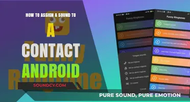 Assign Unique Ringtones to Contacts on Android: A Step-by-Step Guide