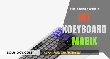 Assigning Custom Sounds to Your Keyboard Magix: A Step-by-Step Guide