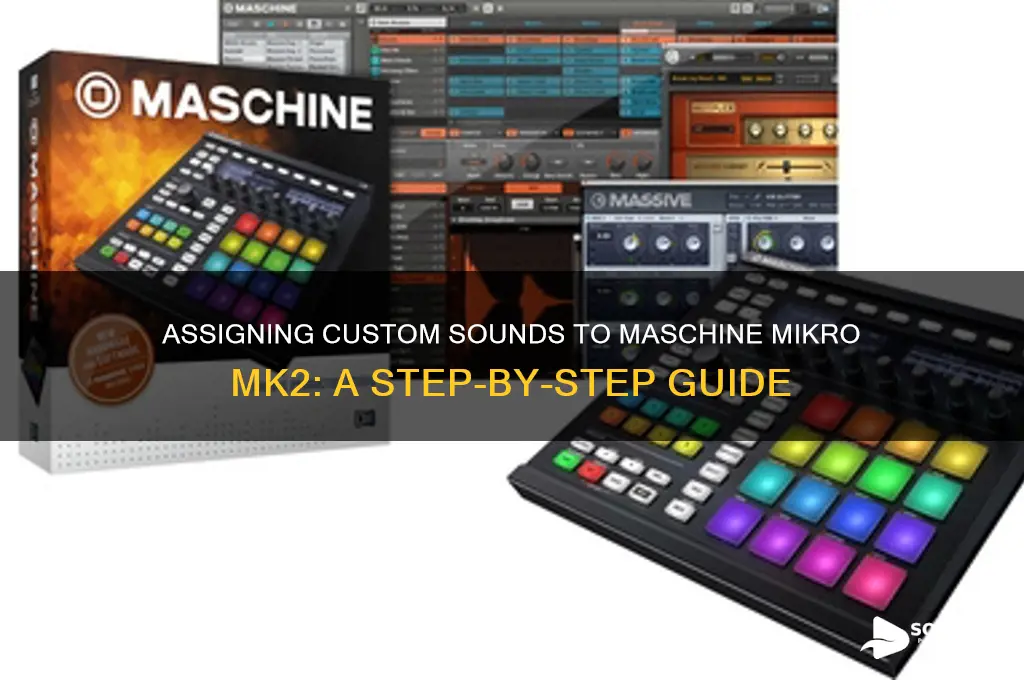 how to assign individual sounds to maschine mikro mk2