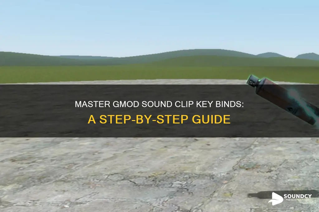 how to assign sound clips to key binds gmod