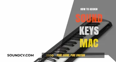 Mastering Sound Keys on Mac: A Step-by-Step Assignment Guide