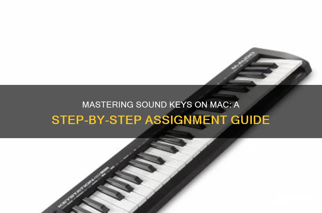 how to assign sound keys mac